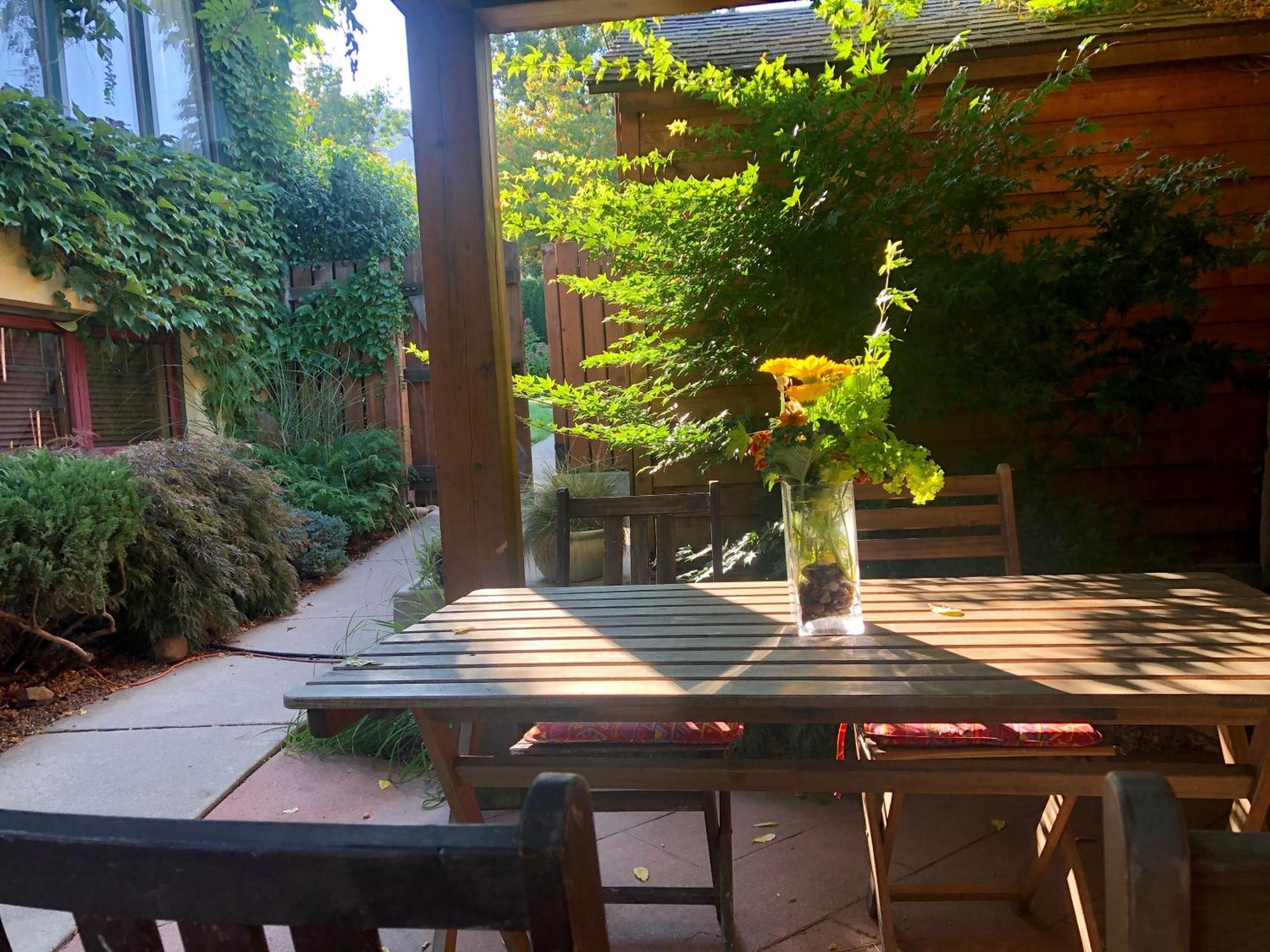 Mistisos Place Vacation Rentals ネルソン エクステリア 写真